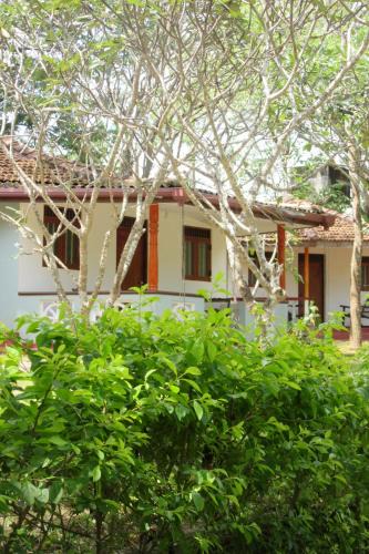 Garden Cabanas | Tangalle