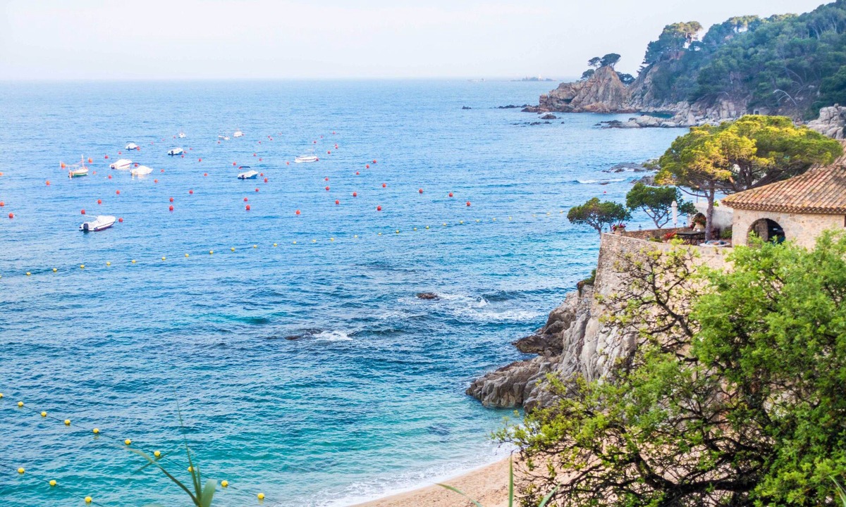Tarongeta | Palafrugell