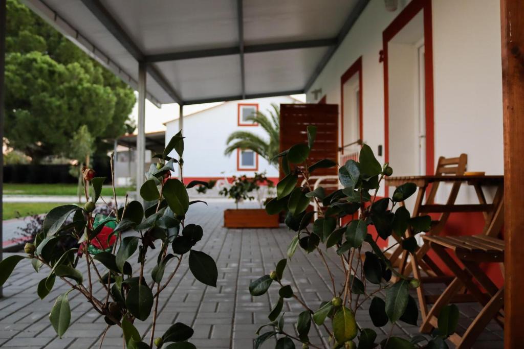 Casa Das Pipas | Palhais