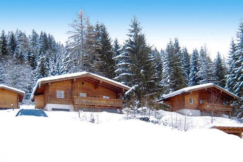 Chalets Ebner Eben Pongau | Eben im Pongau