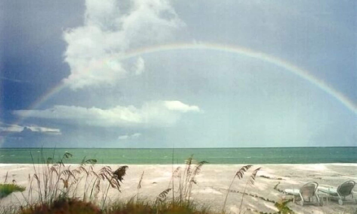 South Seas Captiva | Wulfert