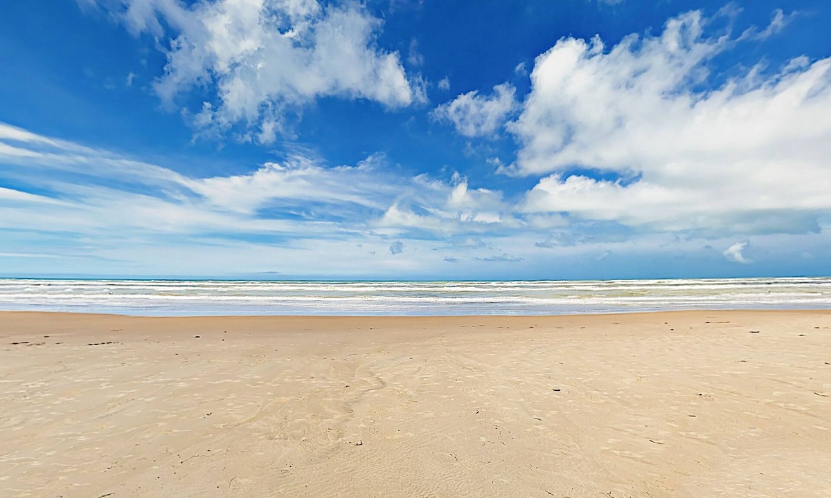 Habitat | South Padre Island
