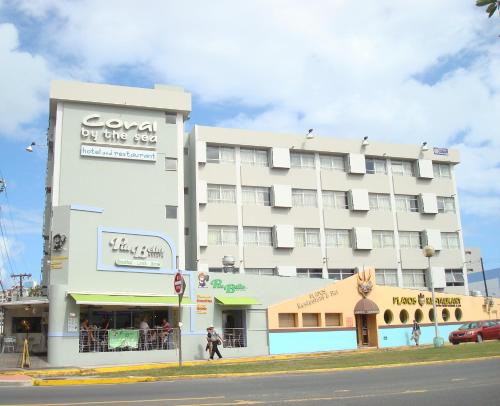 Coral | Isla Verde