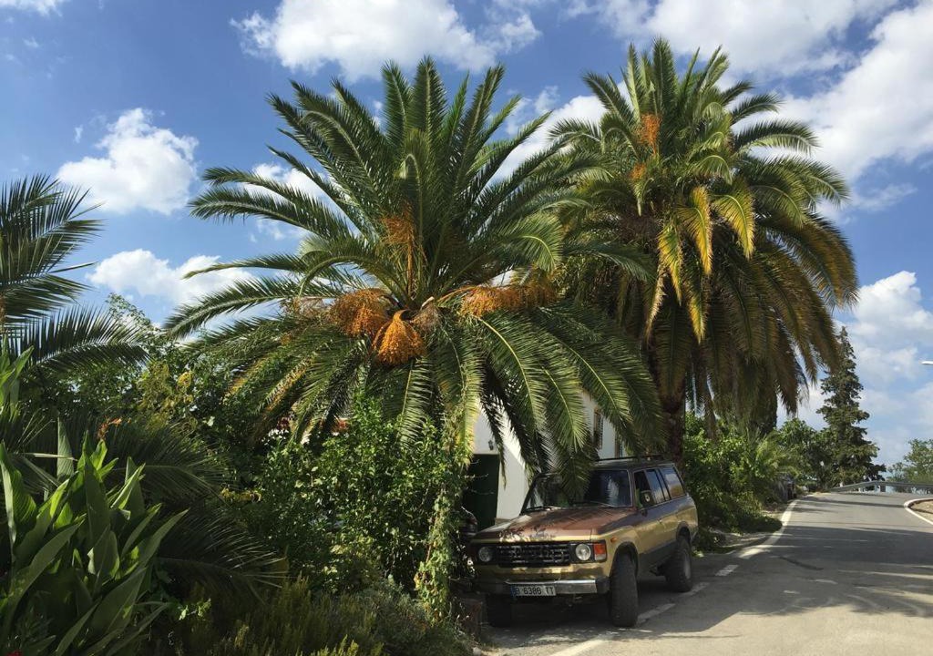 Cortijo La Huerta | Alcala la Real