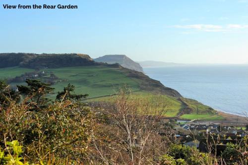 Dolphins | Charmouth