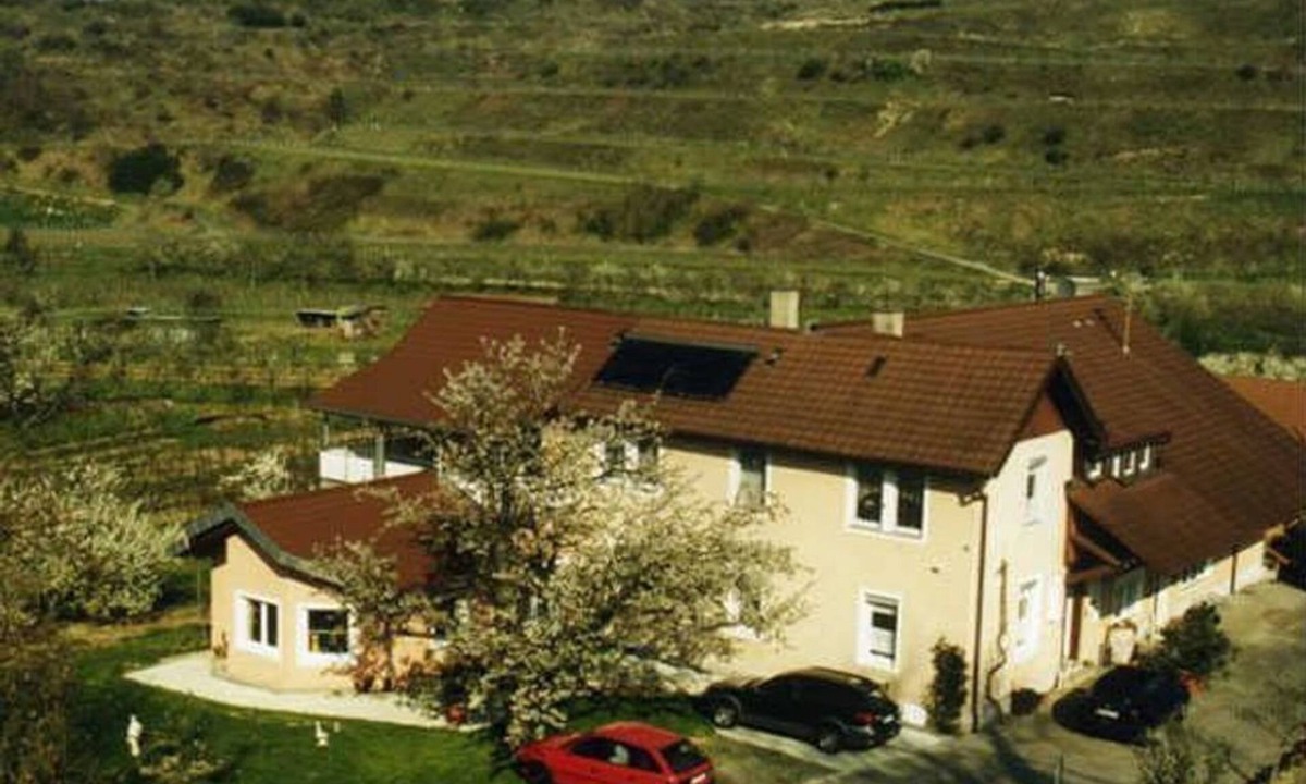 Winery Baumer | Vogtsburg