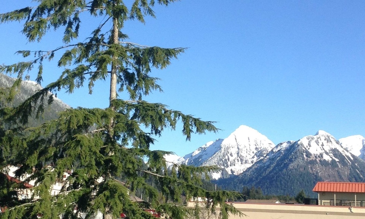 Downtown Apt Ocean Mountain | Sitka