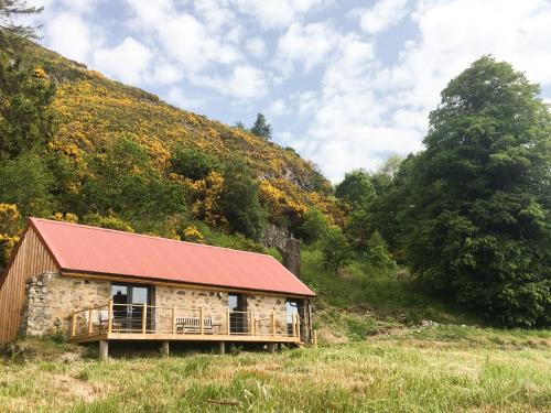 East Craigdhu Cow | Glen Urquhart