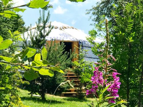 Eco Yourte Les Airelles | Saint-Antheme