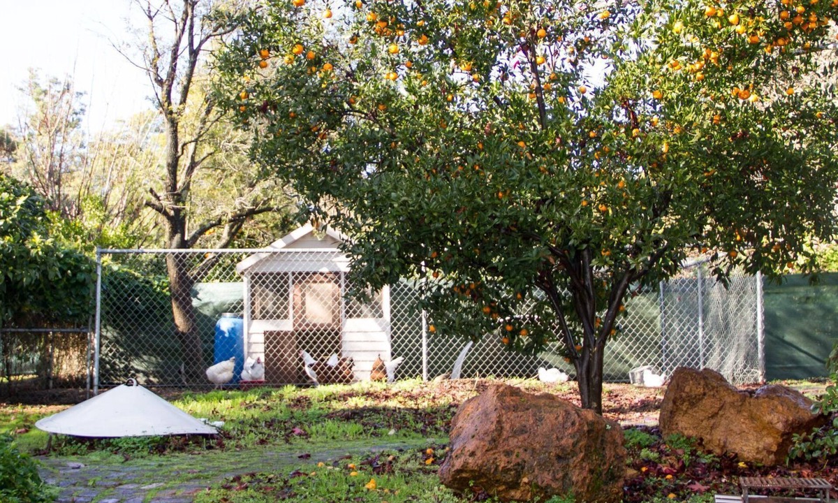 Accommodation | Pickering Brook