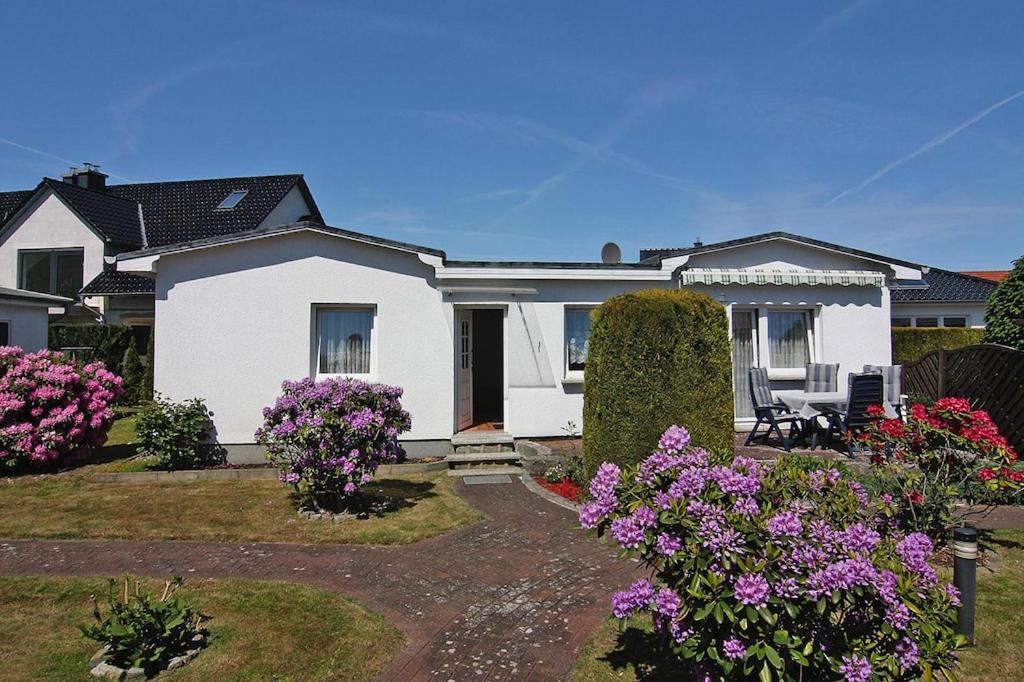 Cottages | Zinnowitz