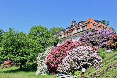 Ferienwohnung Pirna Für Personen Schlafzimmer | Loschwitz