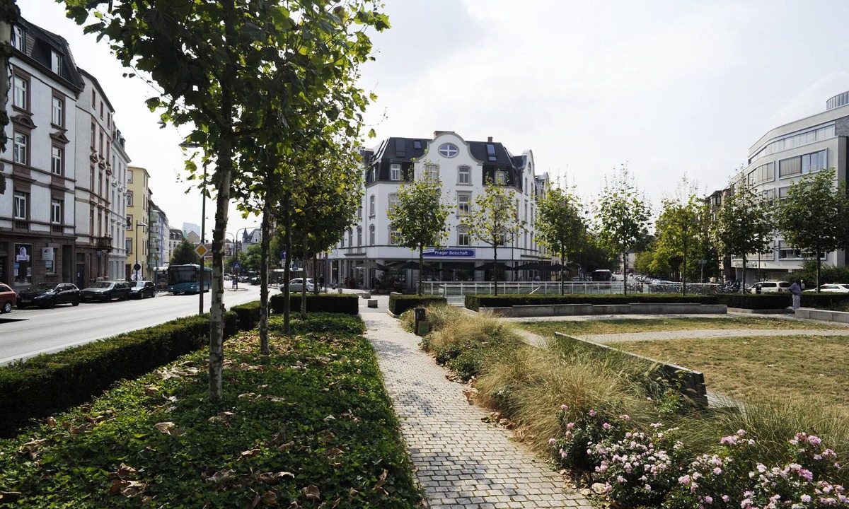Equipped Laundry | Bornheim