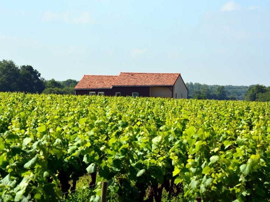 Gite Tucauderie | Mouzillon