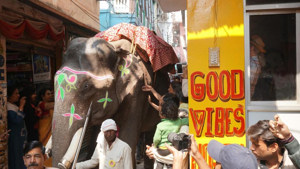 Vibes Hostel | Varanasi