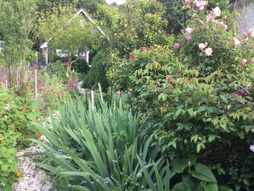 Hahei Kereru Cottage | Hahei