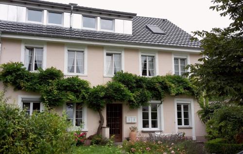 Unterm Blauregen Alten | Ohningen