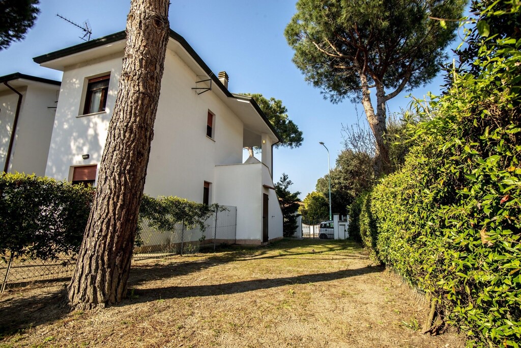 Pino | Lido di Volano