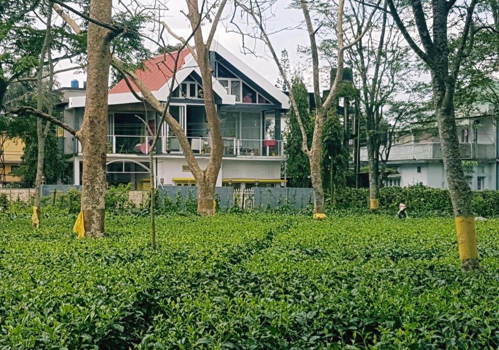 Homestay | Dibrugarh