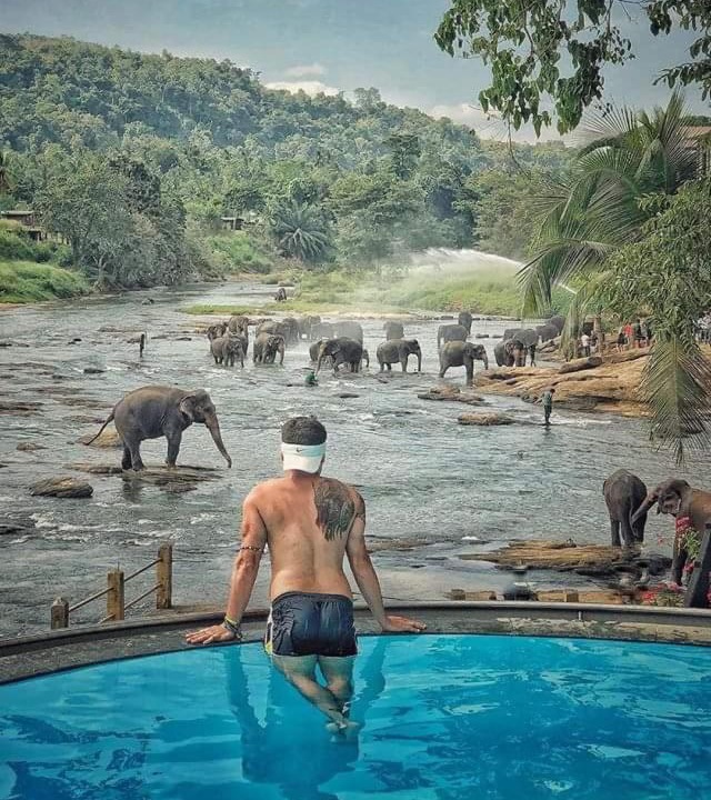 Hotel Elephant Bay | Pinnawala