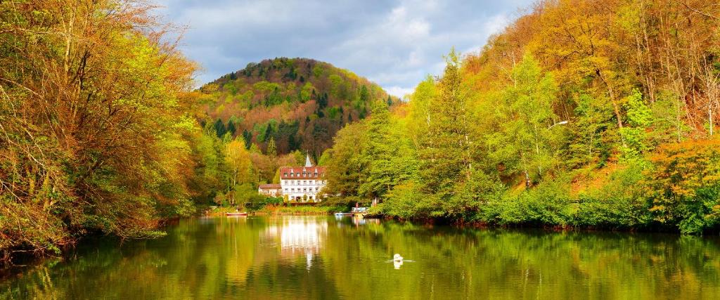 Hotel Pfälzer Wald | Bad Bergzabern