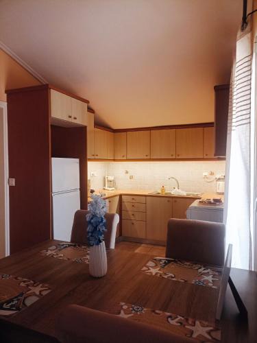 Minas Studios Argostoli | Argostoli Town