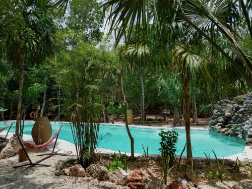Jolie Jungle Eco Hotel | Leona Vicario