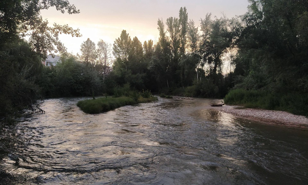 Junto Al Guadalquivir | Mogon