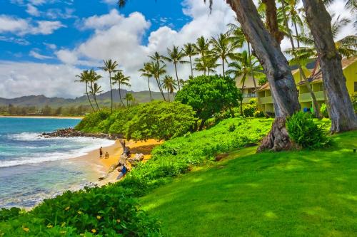 Kapa | Wailua