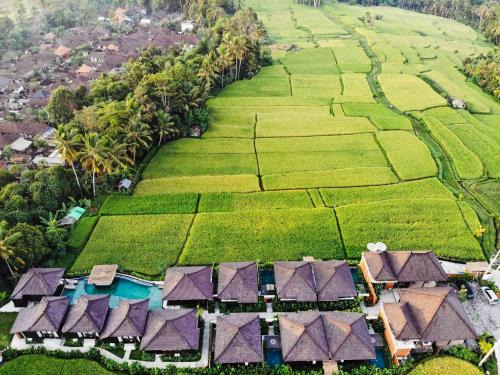Kayangan Ubud | Kenderan