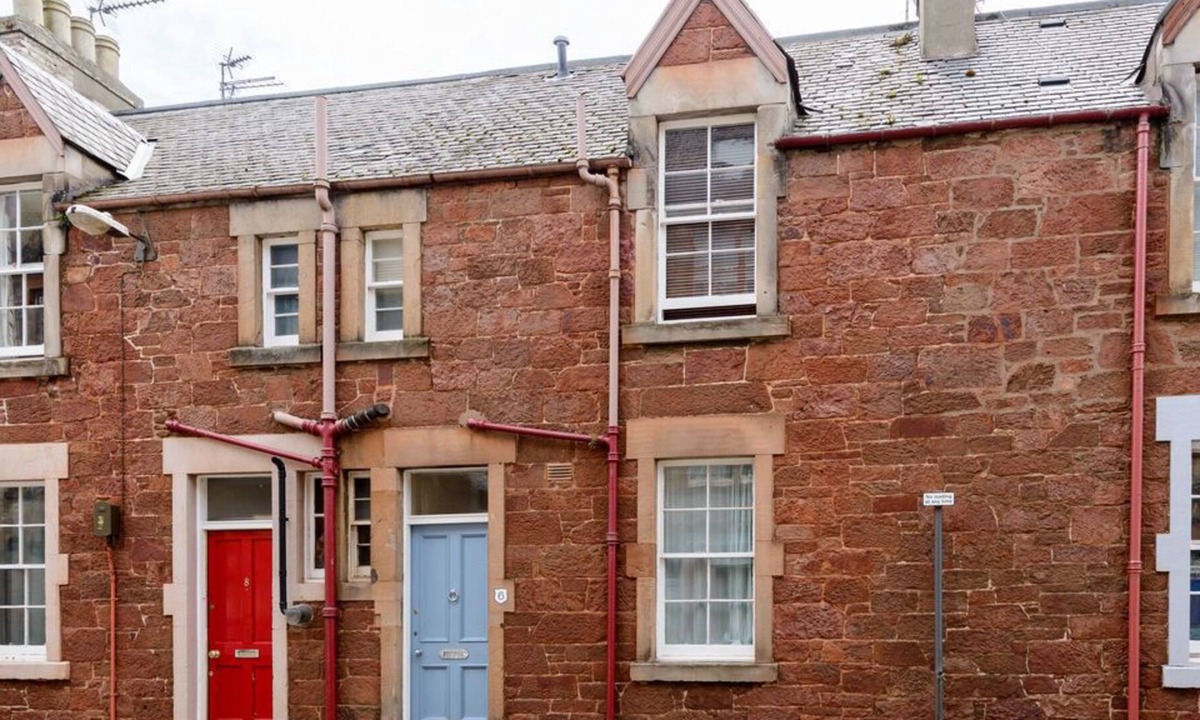 Kittiwake | North Berwick