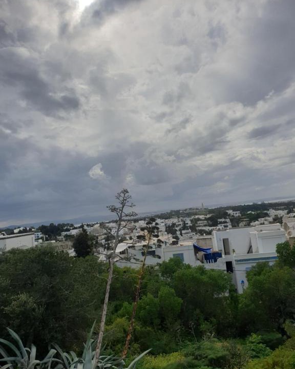 Sidi Bou | Sidi Bou Said