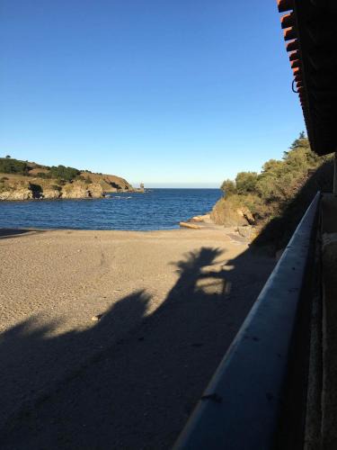 Les Pieds Dans | Banyuls-sur-Mer