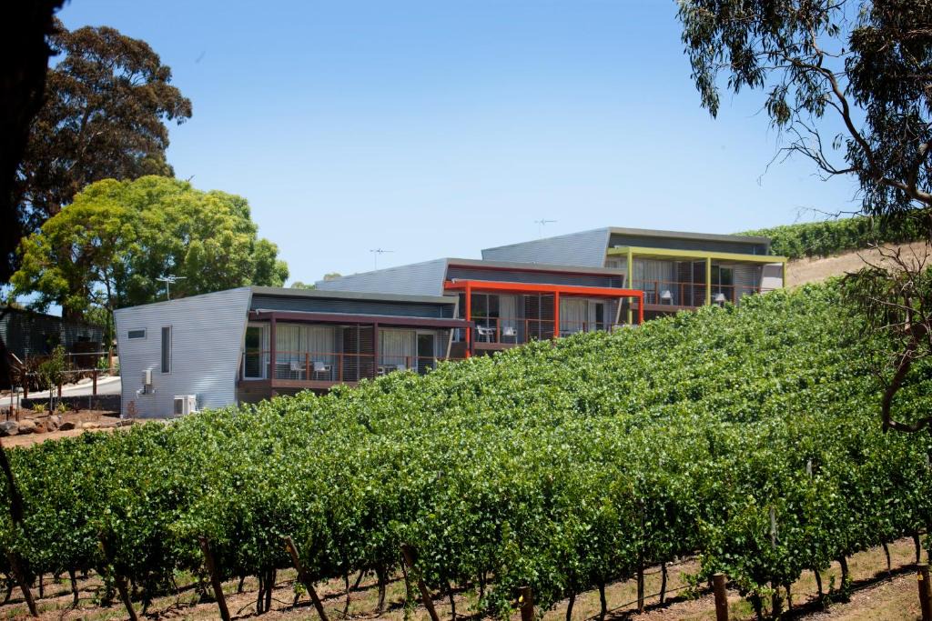 Longview Vineyard | Macclesfield