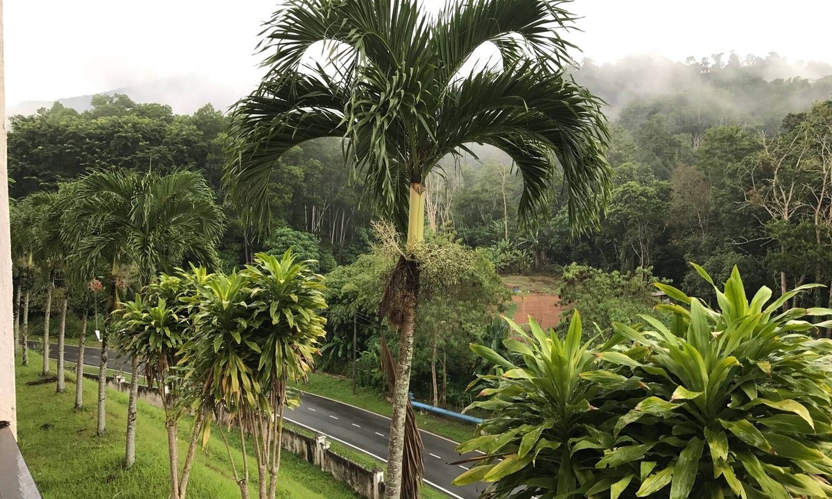 Hillhomes | Bukit Tinggi