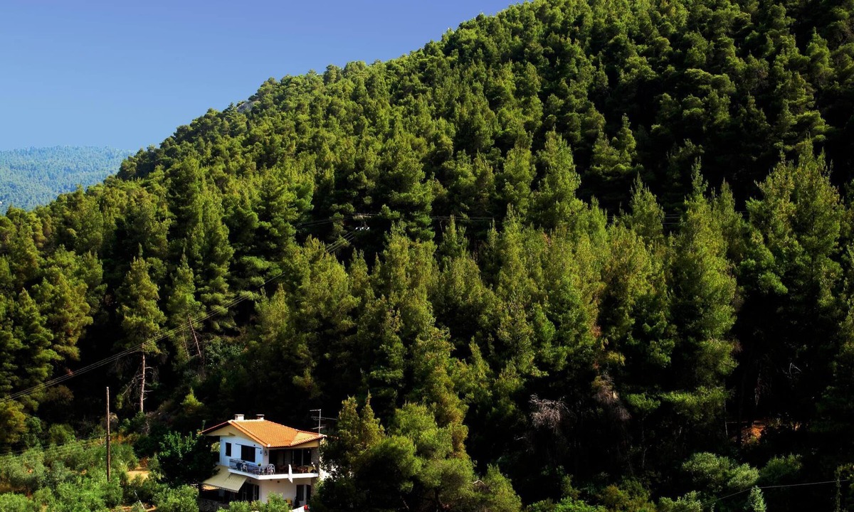 Philippos | Sithonia