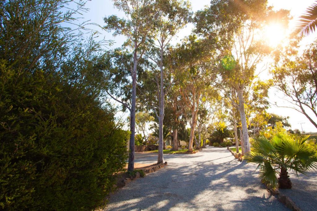 Modra | Tumby Bay