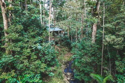 Narrows Escape Rainforest Retreat | North Maleny