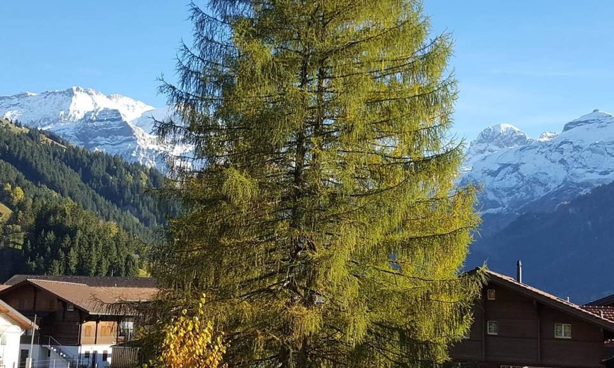 Oberriedstrasse | Lenk