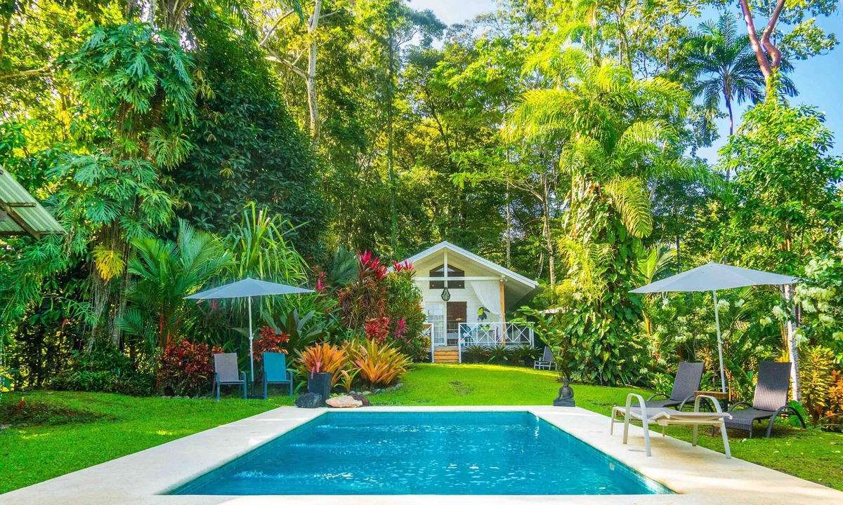 Ocean Property The Jungle At Beach | Punta Uva