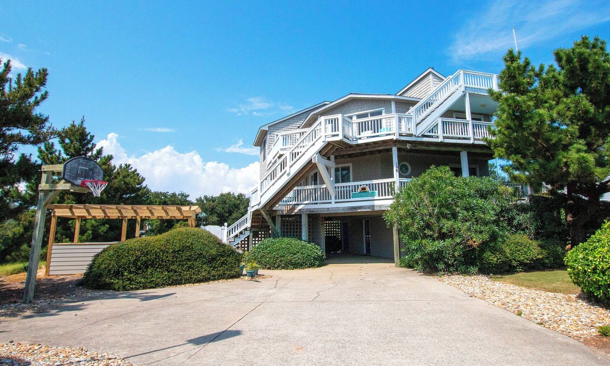 Sandfiddler | Carolina Dunes