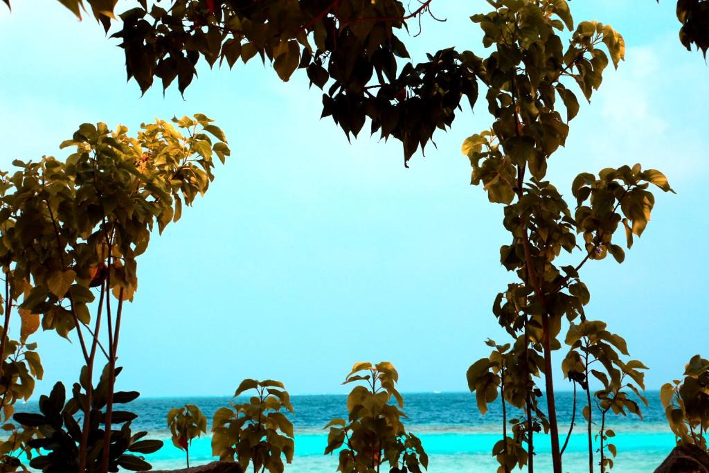 Pandanus Villa | Velidhoo