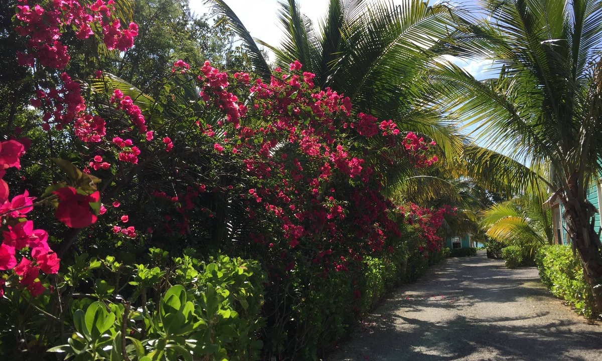 Paradise Of White Sandy Beach Turquoise Sea Secure | Freeport
