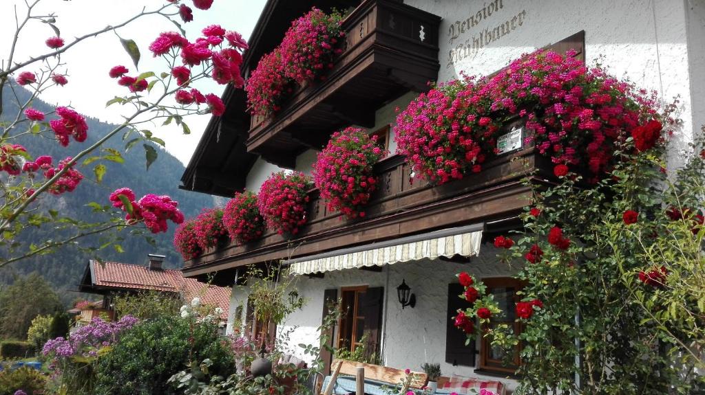 Pension Mühlbauer | Bayrischzell
