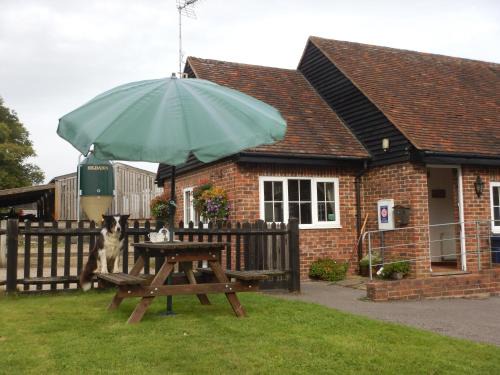 Prestwick Oak | Haslemere