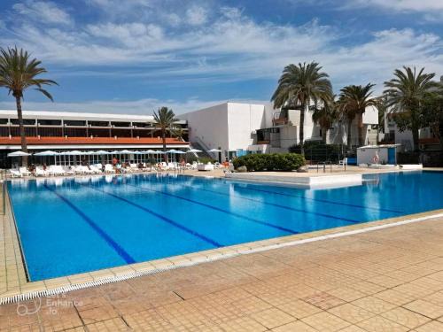 Primavera Tenerife | Arona