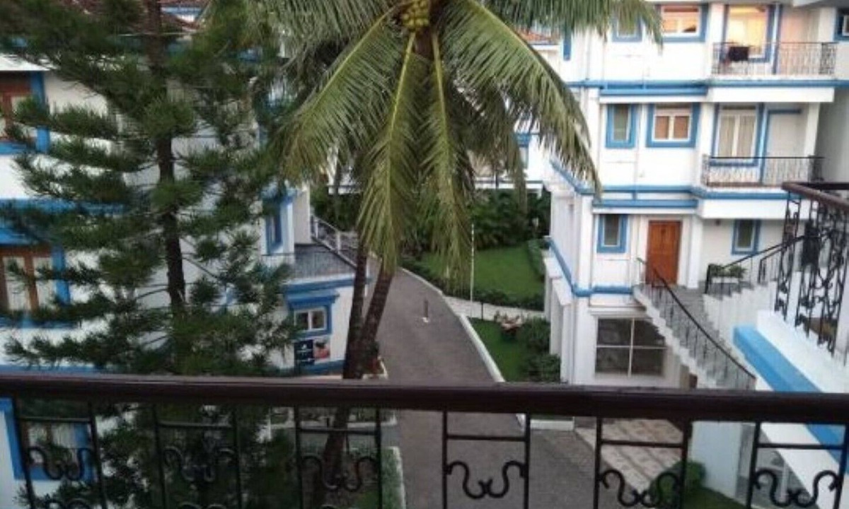 Palms | Benaulim