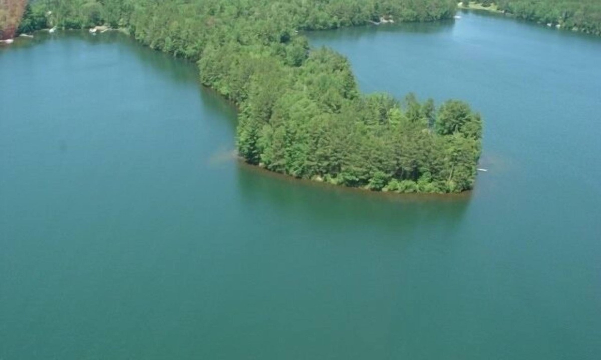 Lakefront Peninsula Of Bass | Remer