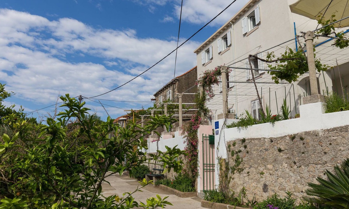 Villa Dalmatia Garden | Kolocep Island