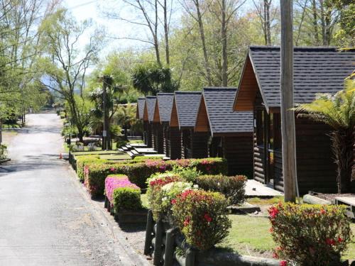 Rotorua Holiday Park | Springfield